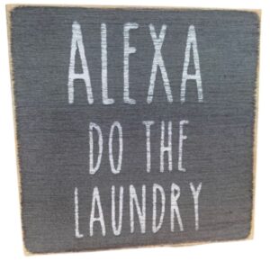 Alexa Do The Laundry