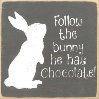 Follow the Bunny He has the Chocolate!