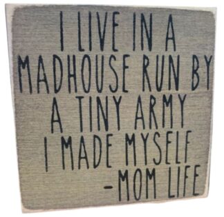 I Live in a Madhouse Run by a Tiny Army I Made Myself -Mom Life.