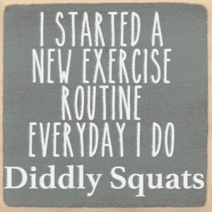 I Started a New Exercise Routine. Everyday I do Diddly Squats.