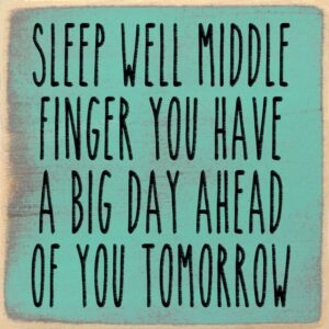 Sleep Well Middle Finger You Have a Big Day Ahead of You Tomorrow.