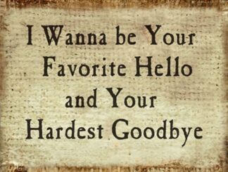 I Wanna Be Your Favorite Hello and Your Hardest Goodbye.